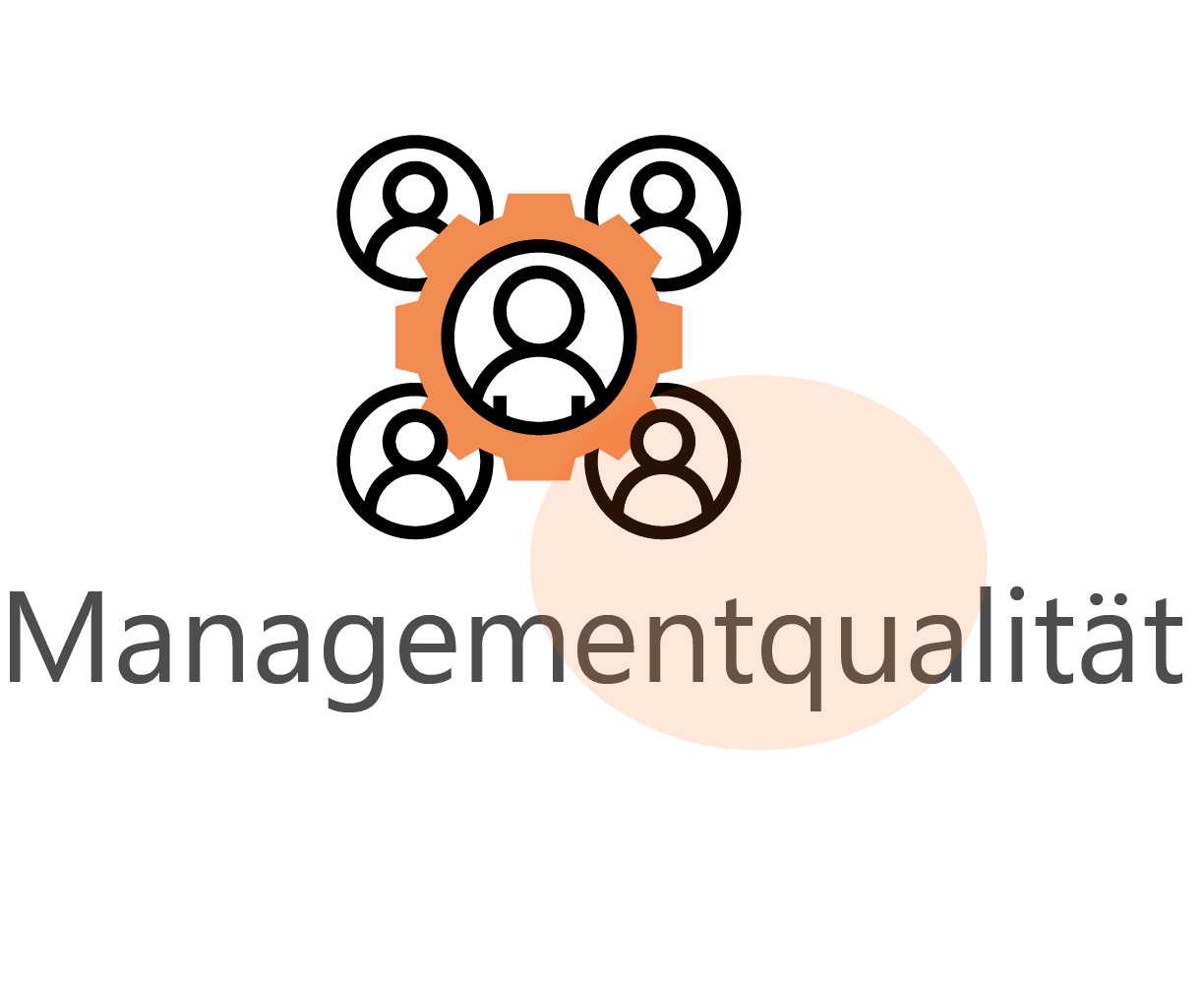managementqualitat icon